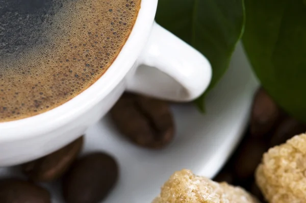 Frischer Kaffee mit Kaffeezweig — Stockfoto