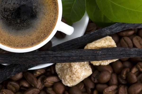 Кава аромату з ваніллю та кавовою гілкою — стокове фото