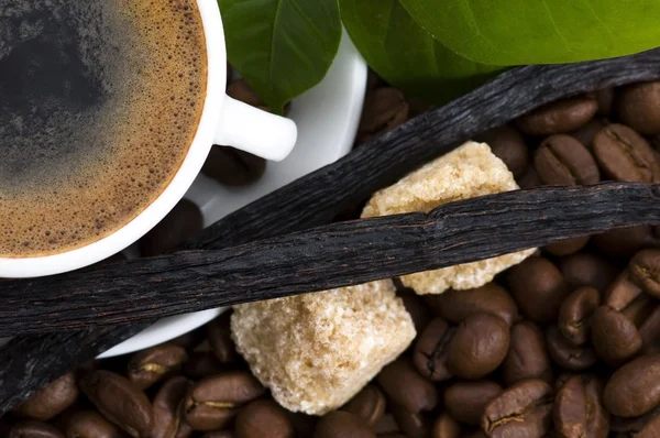 Aroma coffee with vanilla and coffee branch — Stock Photo, Image