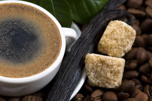 Vůně kávy s vanilkou a káva větev — Stock fotografie