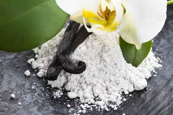 Vanilla beans dengan gula aromatik dan bunga — Stok Foto