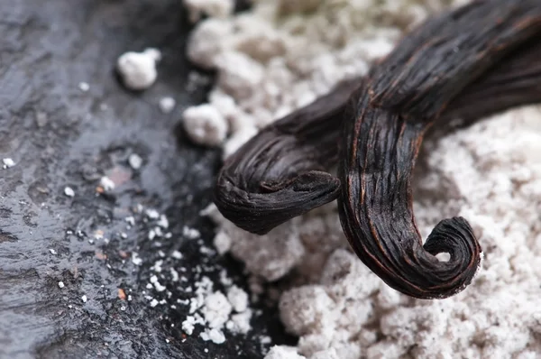 Ziaren wanilii z aromatycznych cukru — Zdjęcie stockowe