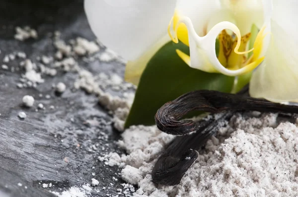 Feijão de baunilha com açúcar aromático e flor — Fotografia de Stock