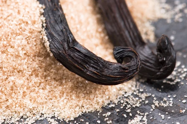 Vanilla beans with brown sugar — Stock Photo, Image