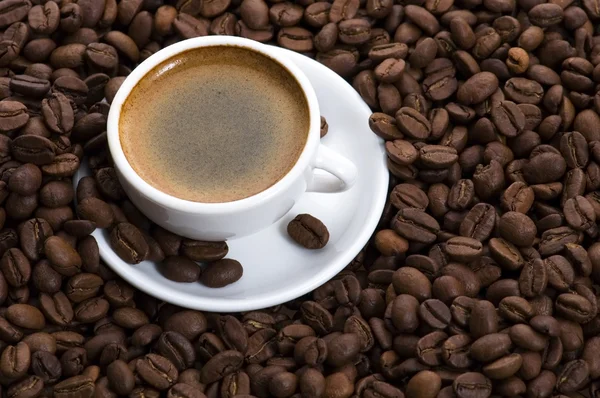 아로마 커피 — 스톡 사진