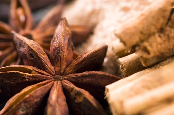 Aromatiska kryddor med farinsocker — Stockfoto