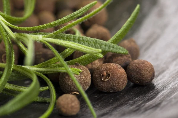 stock image Allspice with fresh rosemary