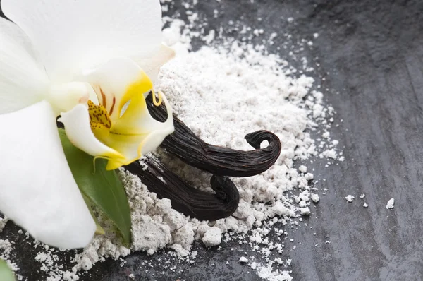 Judías de vainilla con azúcar aromática y flor — Foto de Stock