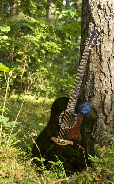 stock image Acoustic guitar in the forest