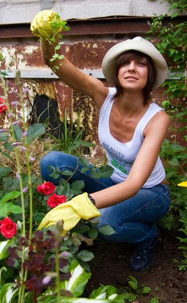 Жіночий садівництво — стокове фото