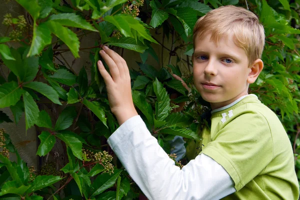 Adolescentie blik — Stockfoto