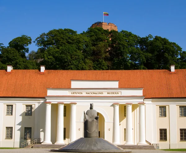 Litouws nationaal museum — Stockfoto