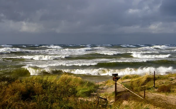 Autunno su un Mar Baltico — Foto Stock