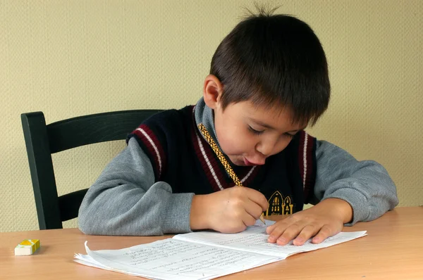 Schoolboy and homework — Stock Photo, Image