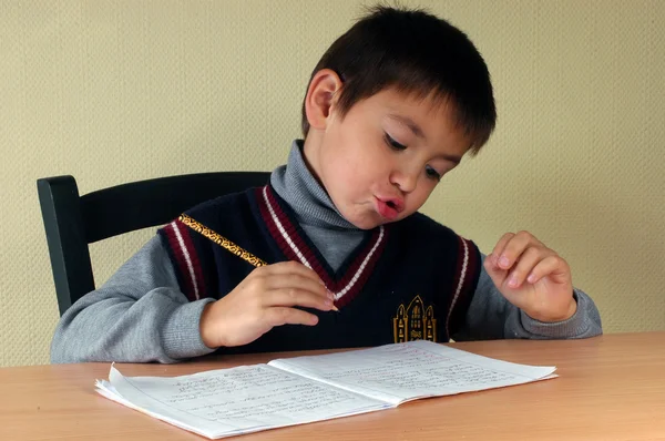 Schoolboy and homework — Stock Photo, Image