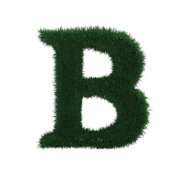 Grass B — Stock Photo, Image
