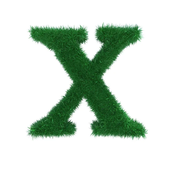 잔디 x — 스톡 사진