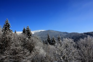 kar dağ manzarası