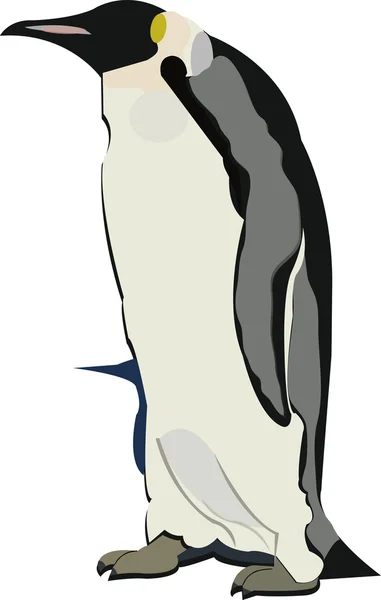 Pinguin Stockvektor