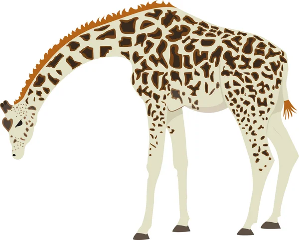 Giraffe lizenzfreie Stockillustrationen
