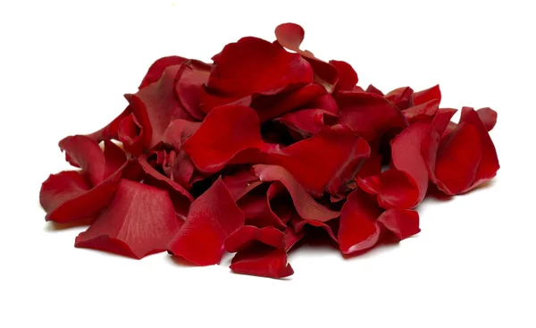 stock image Red Rose Petals