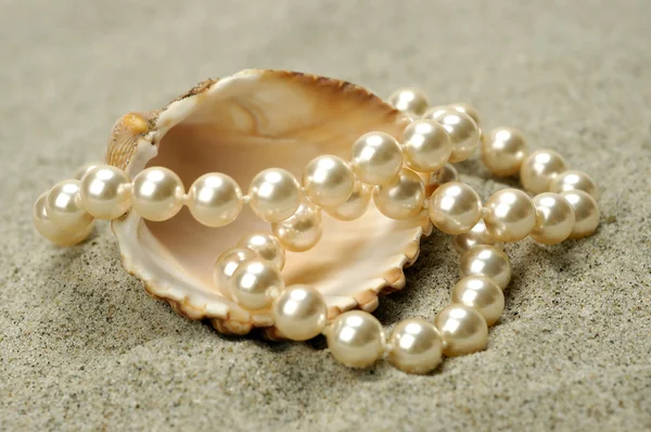 stock image Shell with pearls