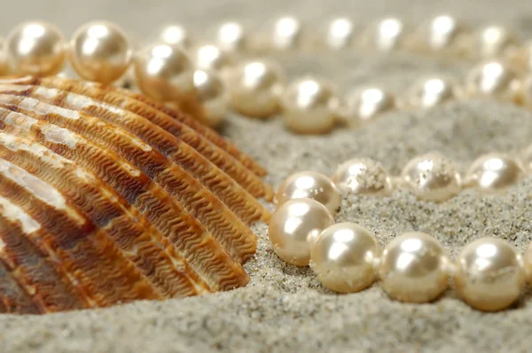 Muschel mit Perlen — Stockfoto