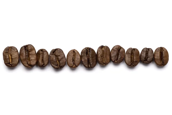 Kahvipapujen ryhmä — kuvapankkivalokuva