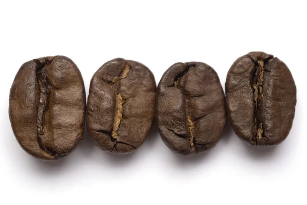 Linha de grãos de café — Fotografia de Stock
