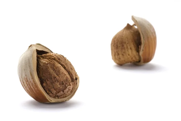 Cracked Hazelnuts — Stock Photo, Image