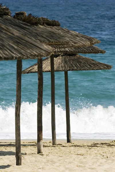 Plaj şemsiyeleri — Stok fotoğraf