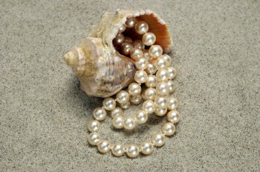 Snail with pearls on the beach detail clipart