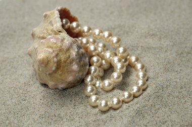 Snail with pearls clipart