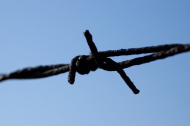 Blured barbed wire abstract macro clipart