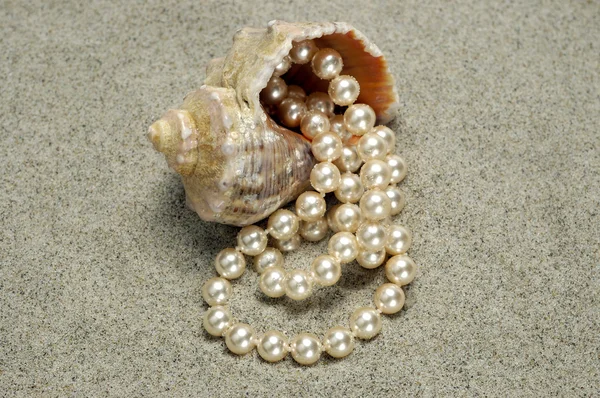Caracol con perlas en el detalle de la playa —  Fotos de Stock