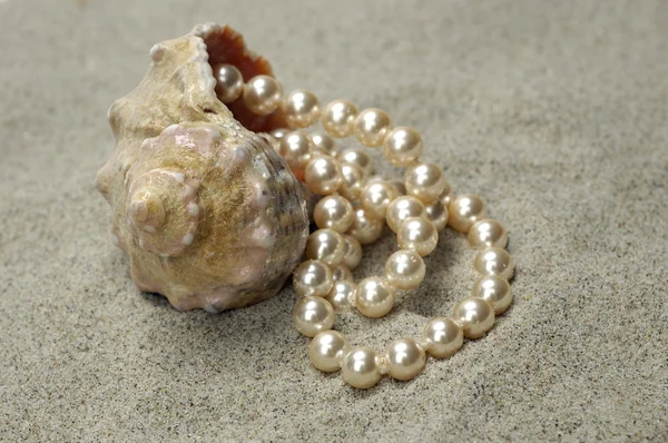Schnecke mit Perlen — Stockfoto