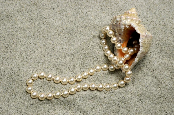 蜗牛与珍珠项链 — 图库照片