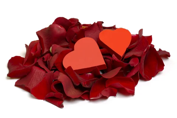 Herzen und Rosenblätter — Stockfoto