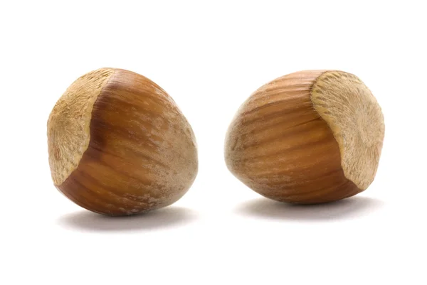 Whole Hazelnuts — Stock Photo, Image
