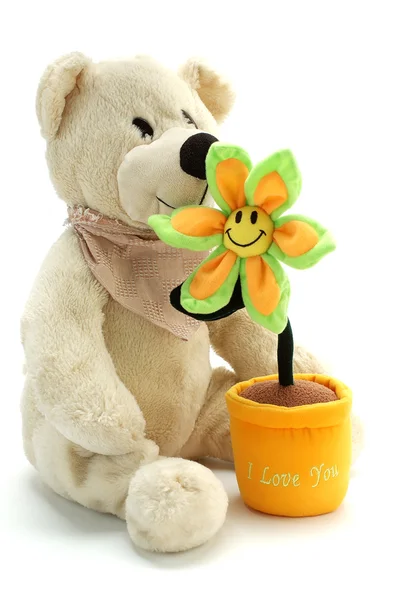 Urso de pelúcia e flor — Fotografia de Stock