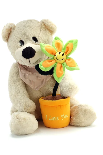 Teddy bear and flower — Stock Photo, Image
