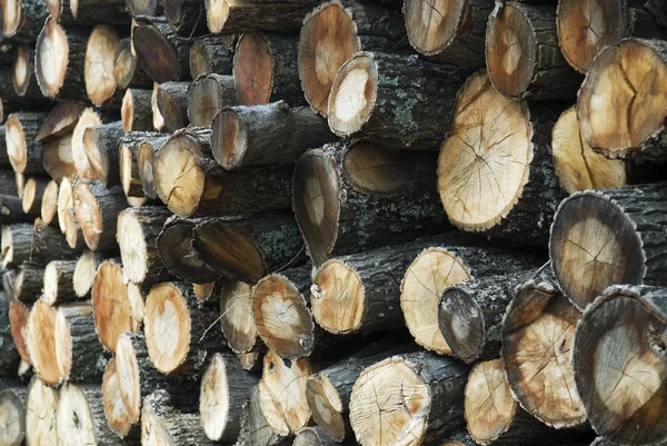 stock image Stack of logs