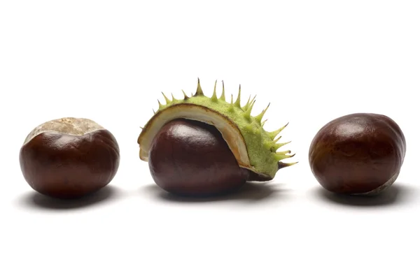 Horse Chestnuts — Stock Photo, Image