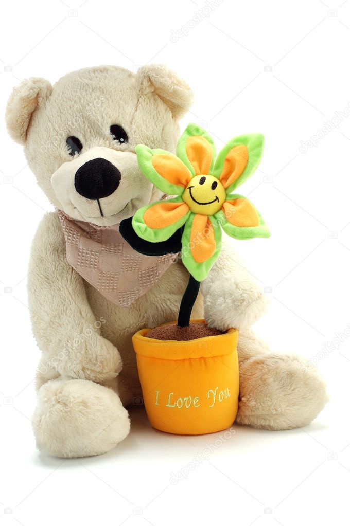 Teddy bear and flower