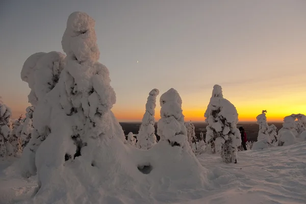 Снежные скульптуры — стоковое фото