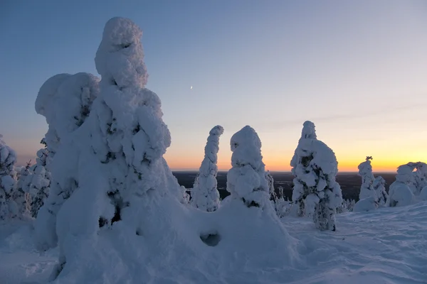 Снежные скульптуры — стоковое фото