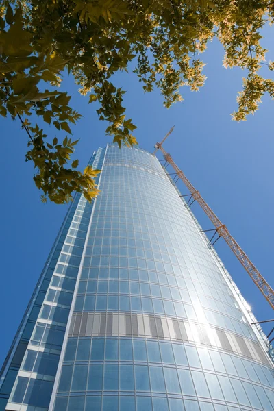 Az üveg és acél felhőkarcoló Stock Fotó