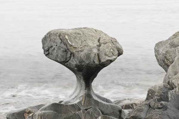 Kannesteinen 바위 — 스톡 사진