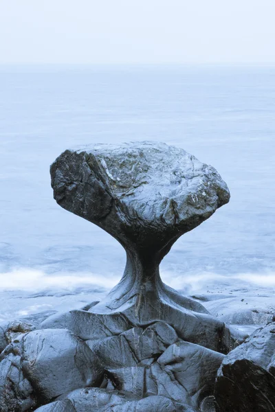 Pedra extra-terrestre Imagem De Stock