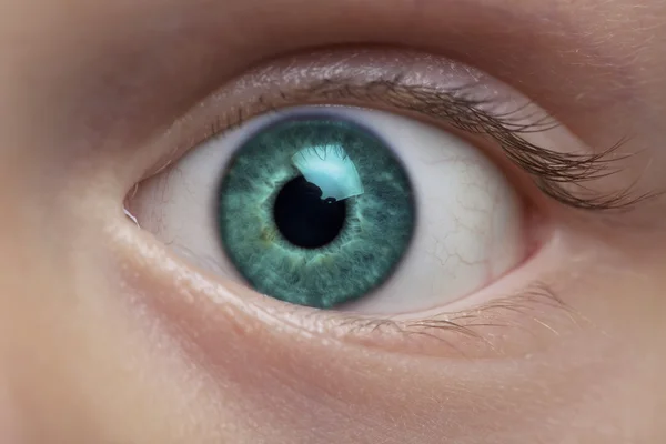 stock image Boy's eye